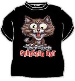 Stress out kočka
