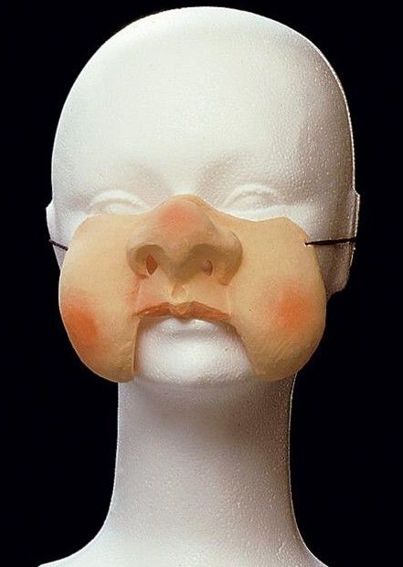 Nos a tváře - čelist